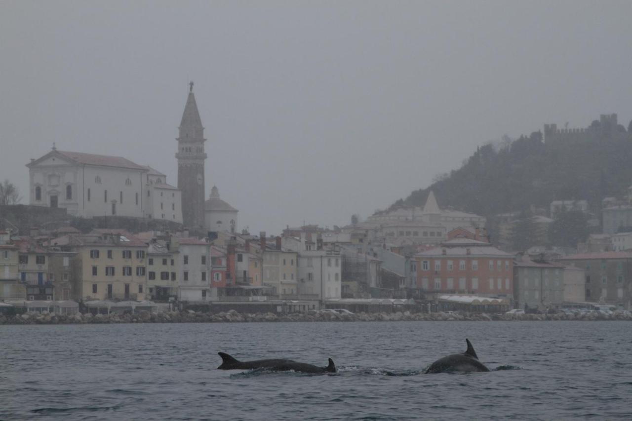 Sal & Mar Apartments Piran Buitenkant foto