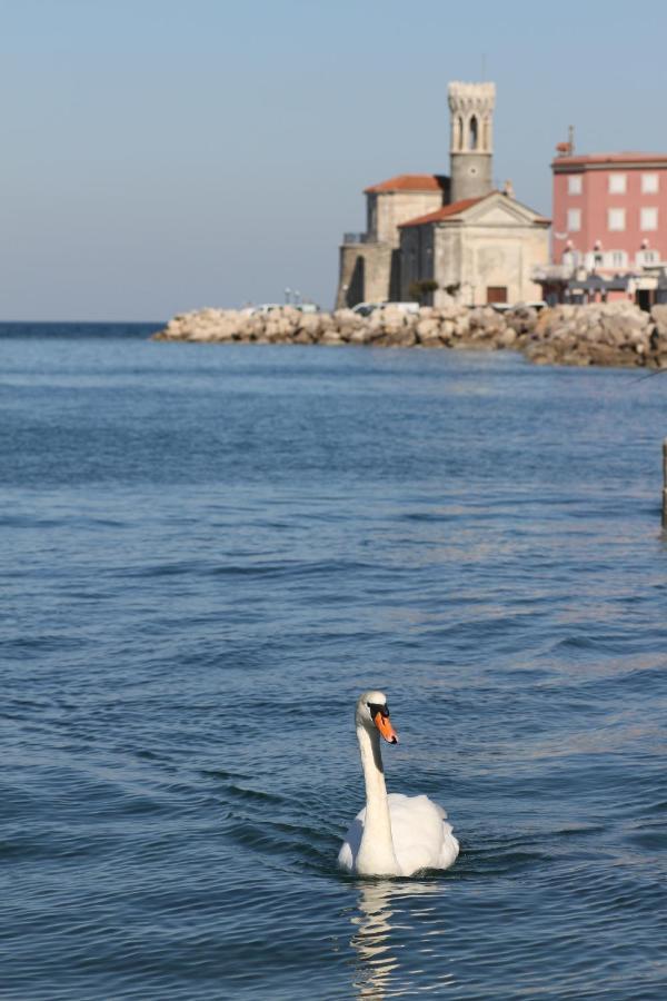 Sal & Mar Apartments Piran Buitenkant foto